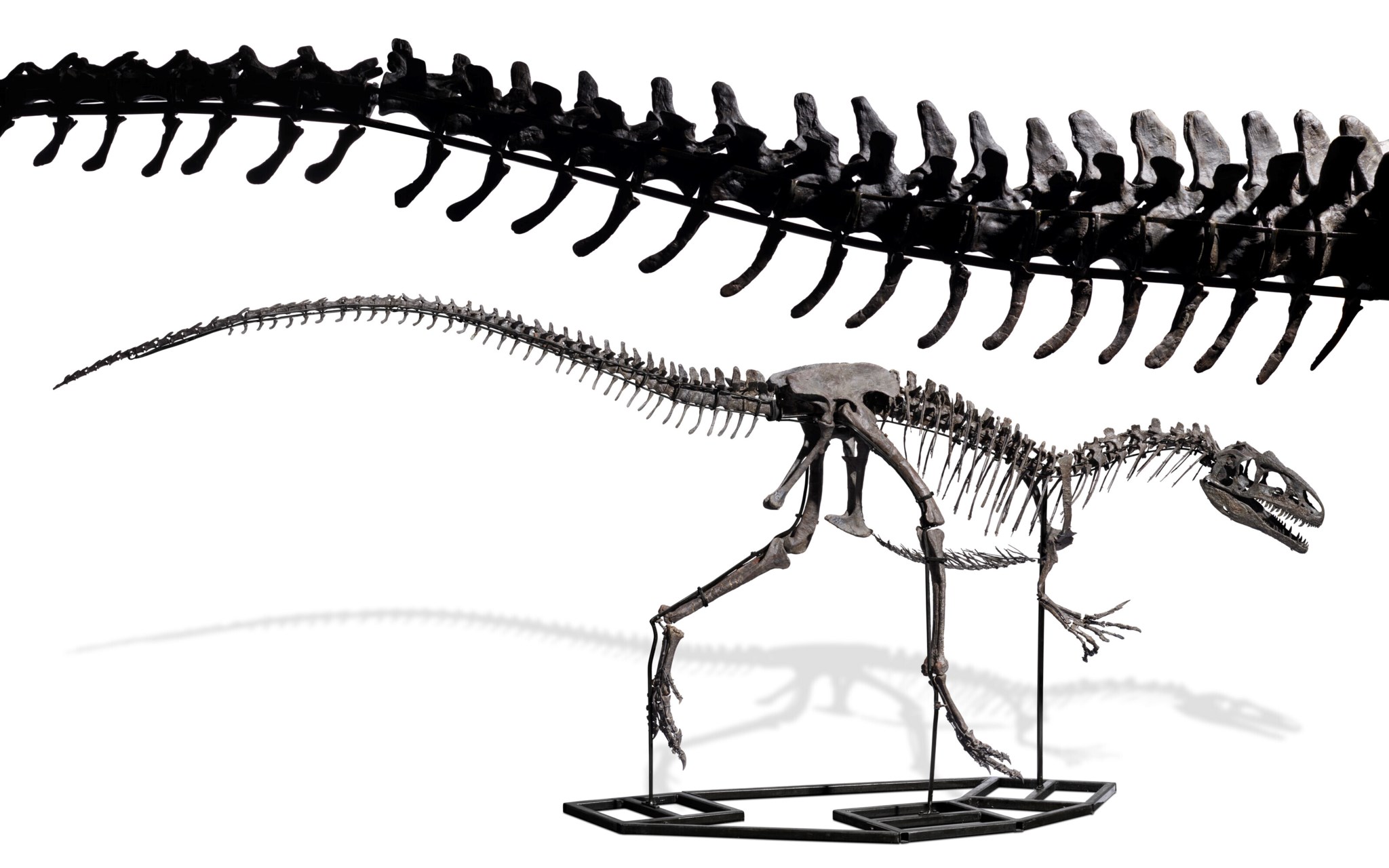 Jurassic Icons: Allosaurus & Stegosaurus