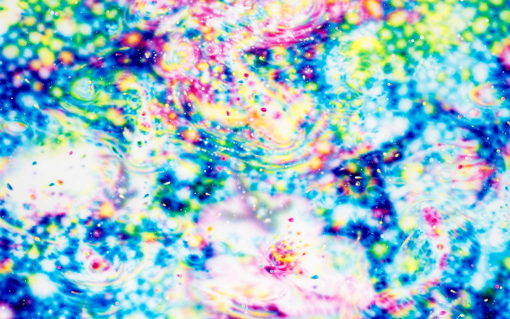 No Regrets: Modern and Contemporary Art Online