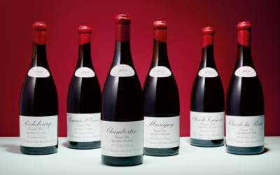 The Ultimate Private Collection Featuring The Greatest Burgundies Part II