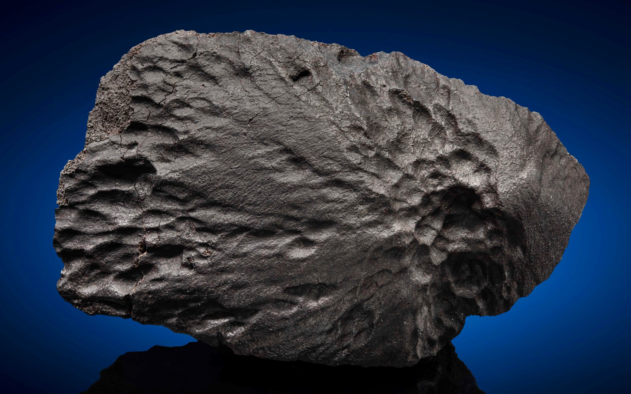 Deep Impact: Martian, Lunar and Other Rare Meteorites