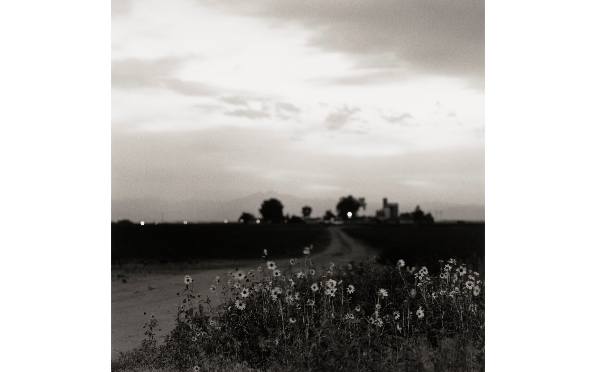 Photographs