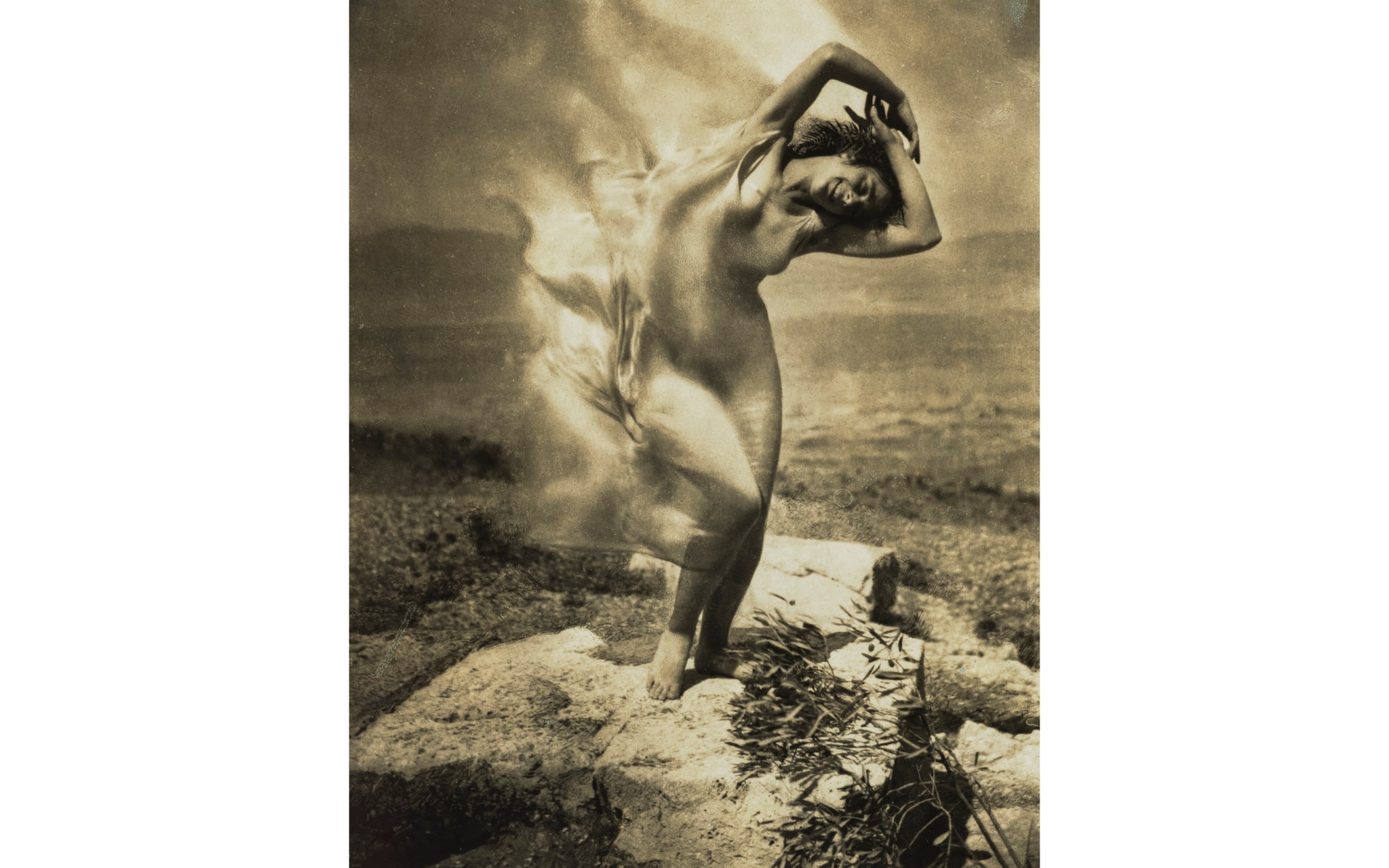 The Vicente Wolf Photography Collection