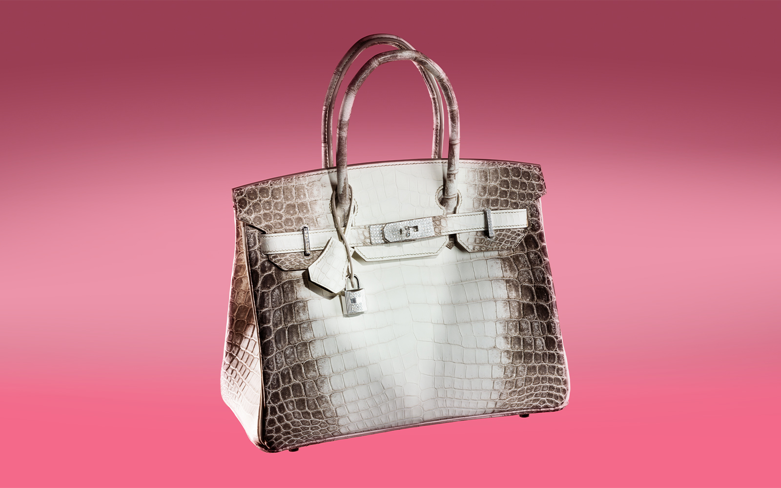 Hermès 101: The Himalaya Birkin - The Vault