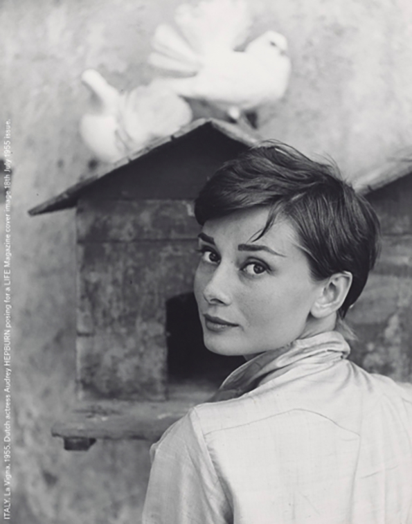 Audrey Hepburn: Part II