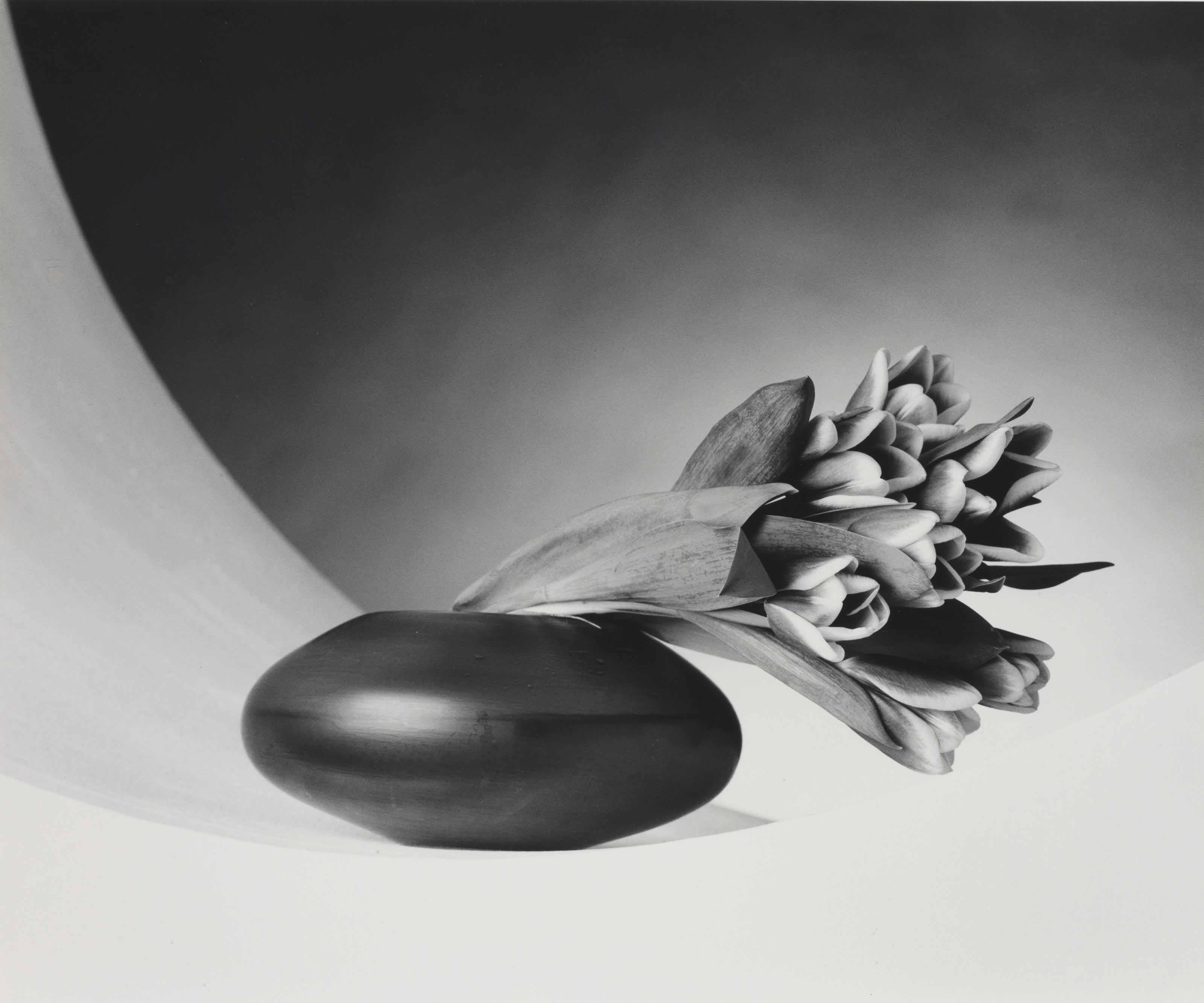 Robert Mapplethorpe | The Guggenheim Museums and Foundation