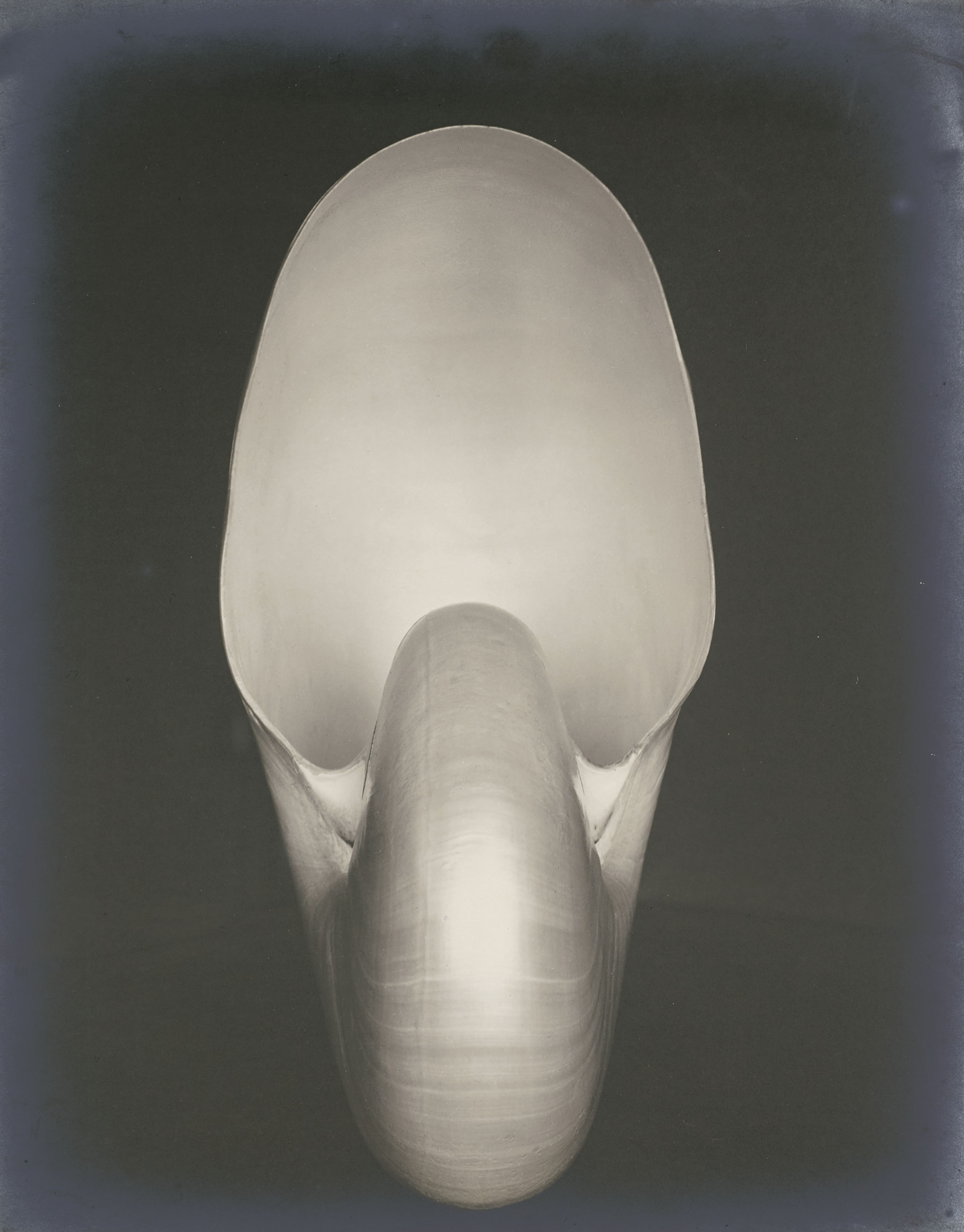 WESTON’S WESTONS　Edward Weston 10 things to know about Edward Weston | Christie's