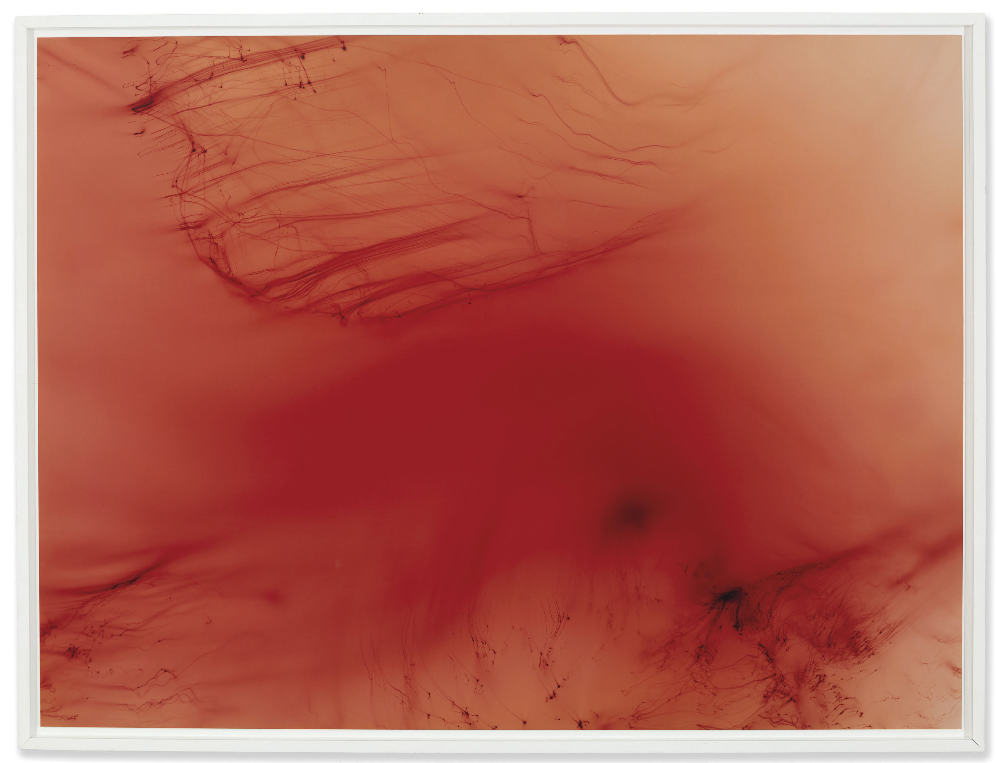 Wolfgang Tillmans | Photographs for sale and auction results