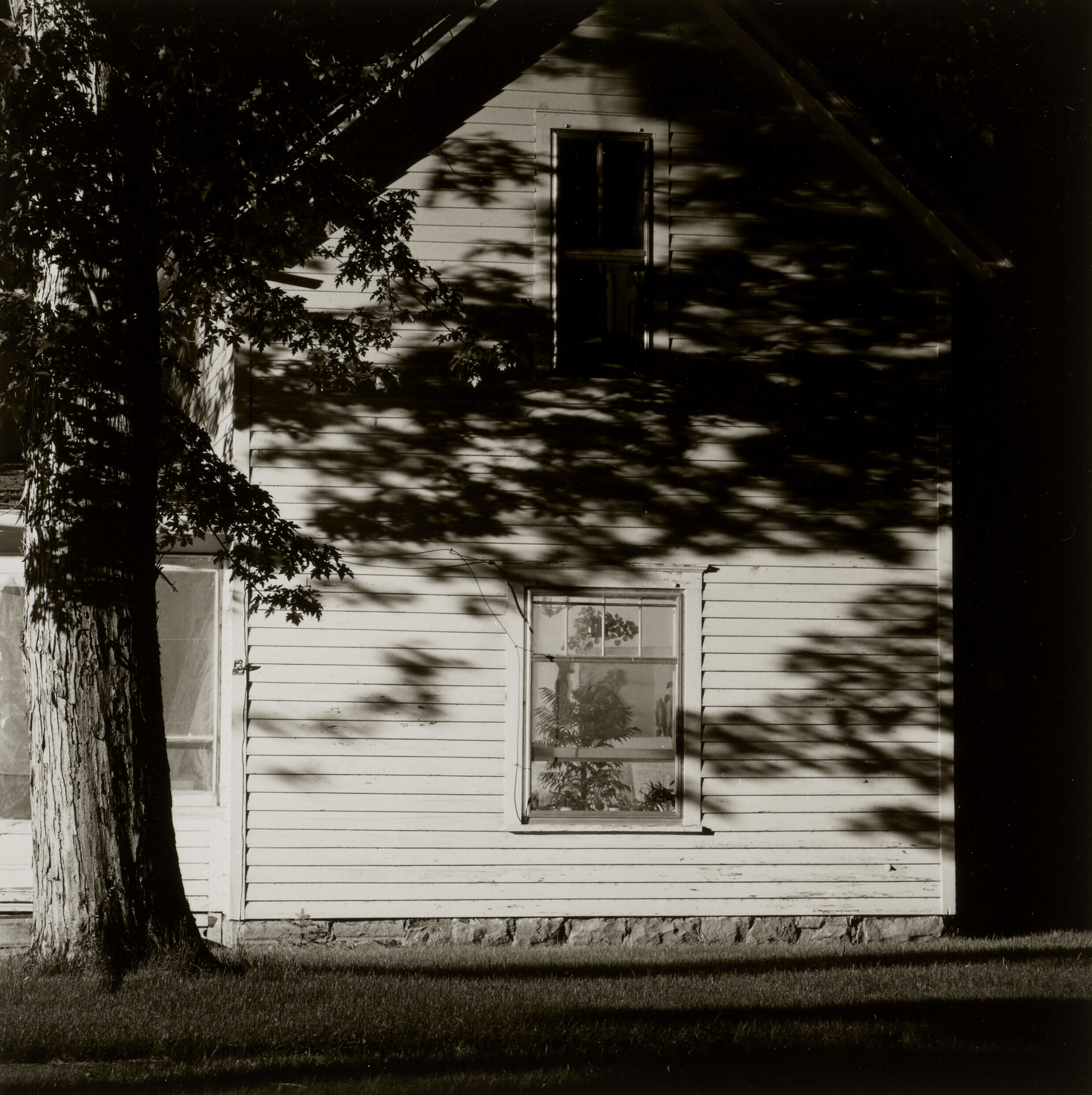 【サイン入り】Robert Adams（ロバート・アダムス）『ALDERS』 Robert Adams（ロバート・アダムス） | 小宮山書店 KOMIYAMA