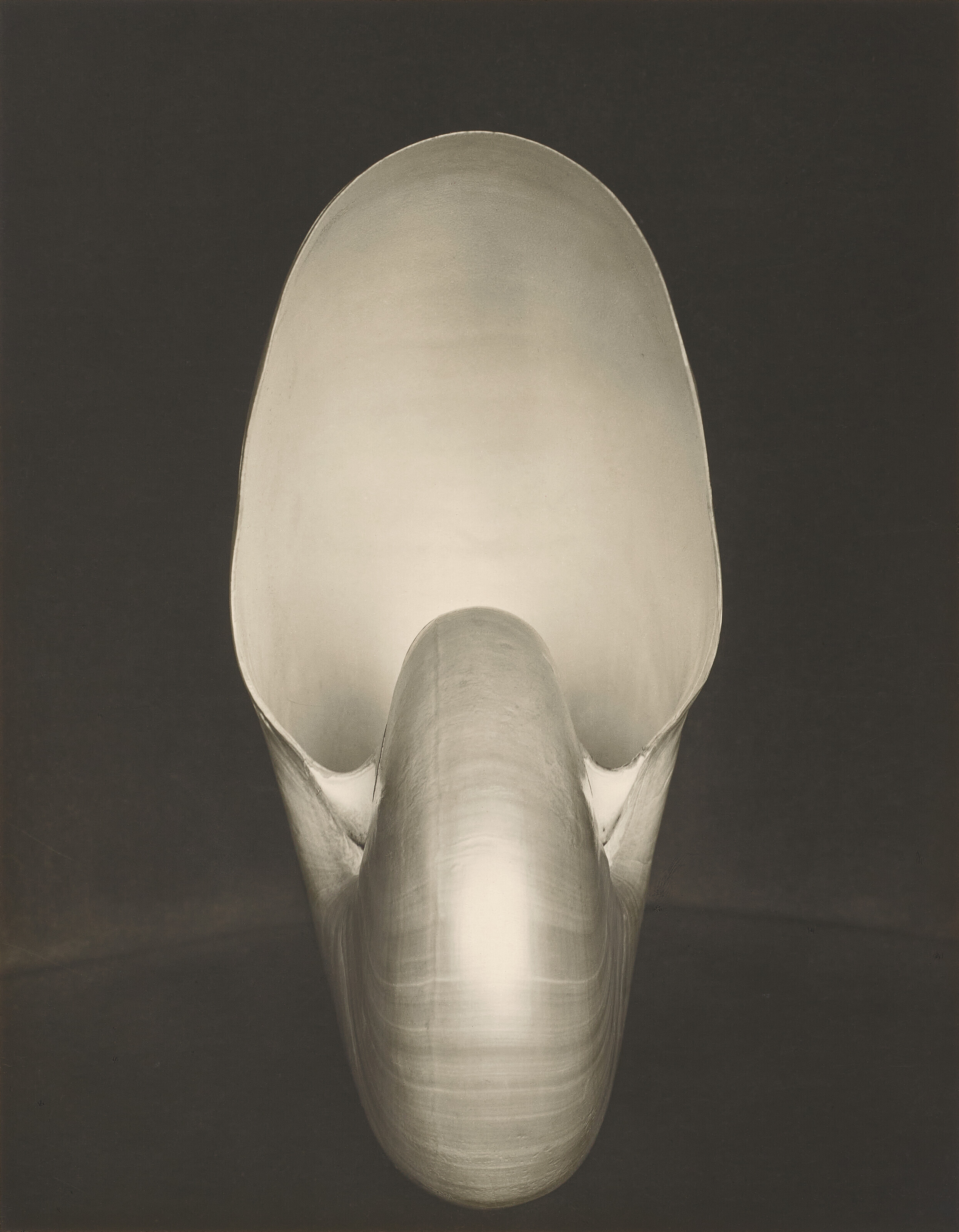 Edward Weston | Photographs for sale & auction results