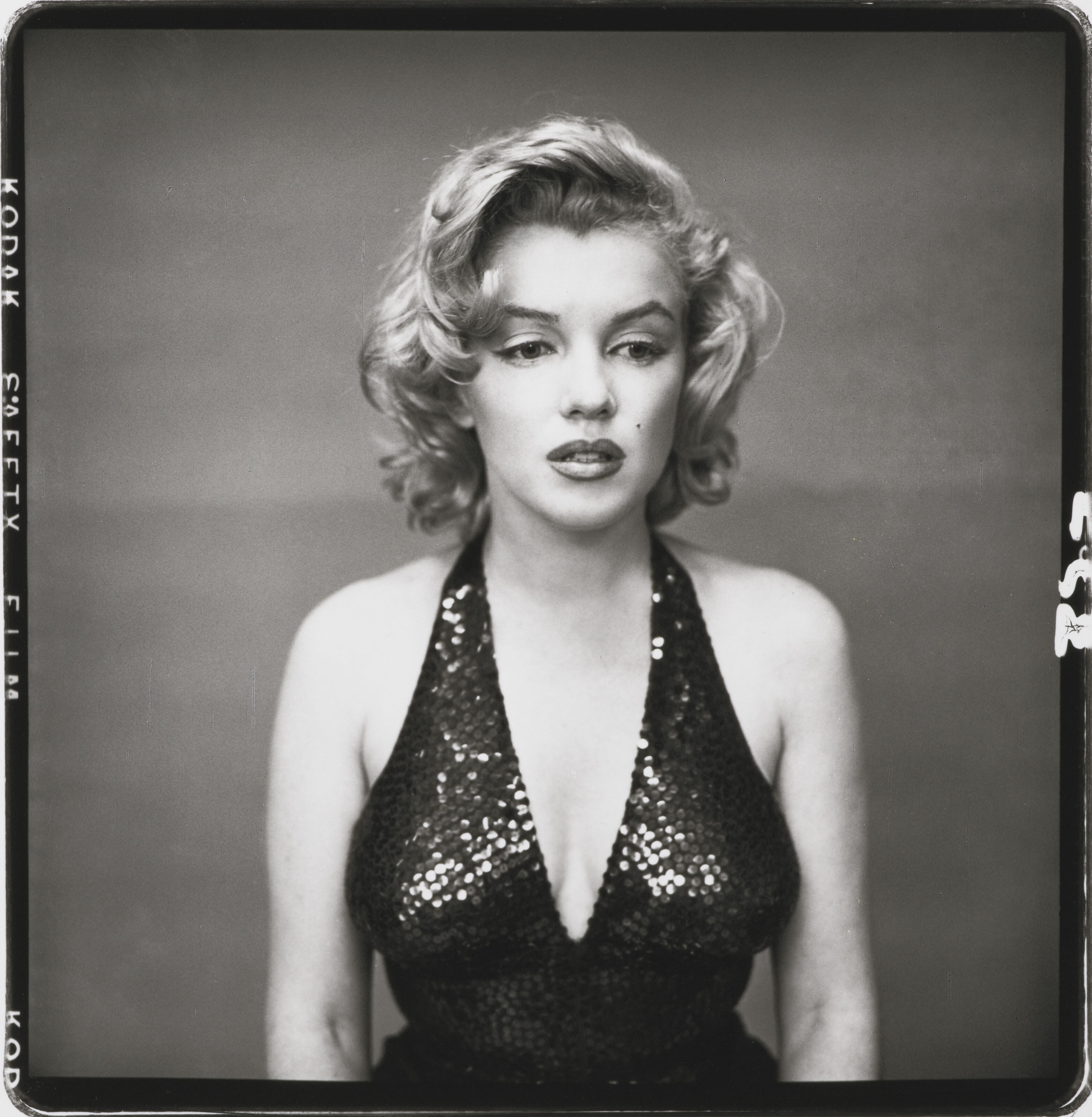アベドン カタログ 写真集 Richard Avedon catalog アベドン カタログ 写真集 Richard Avedon catalog 美術品