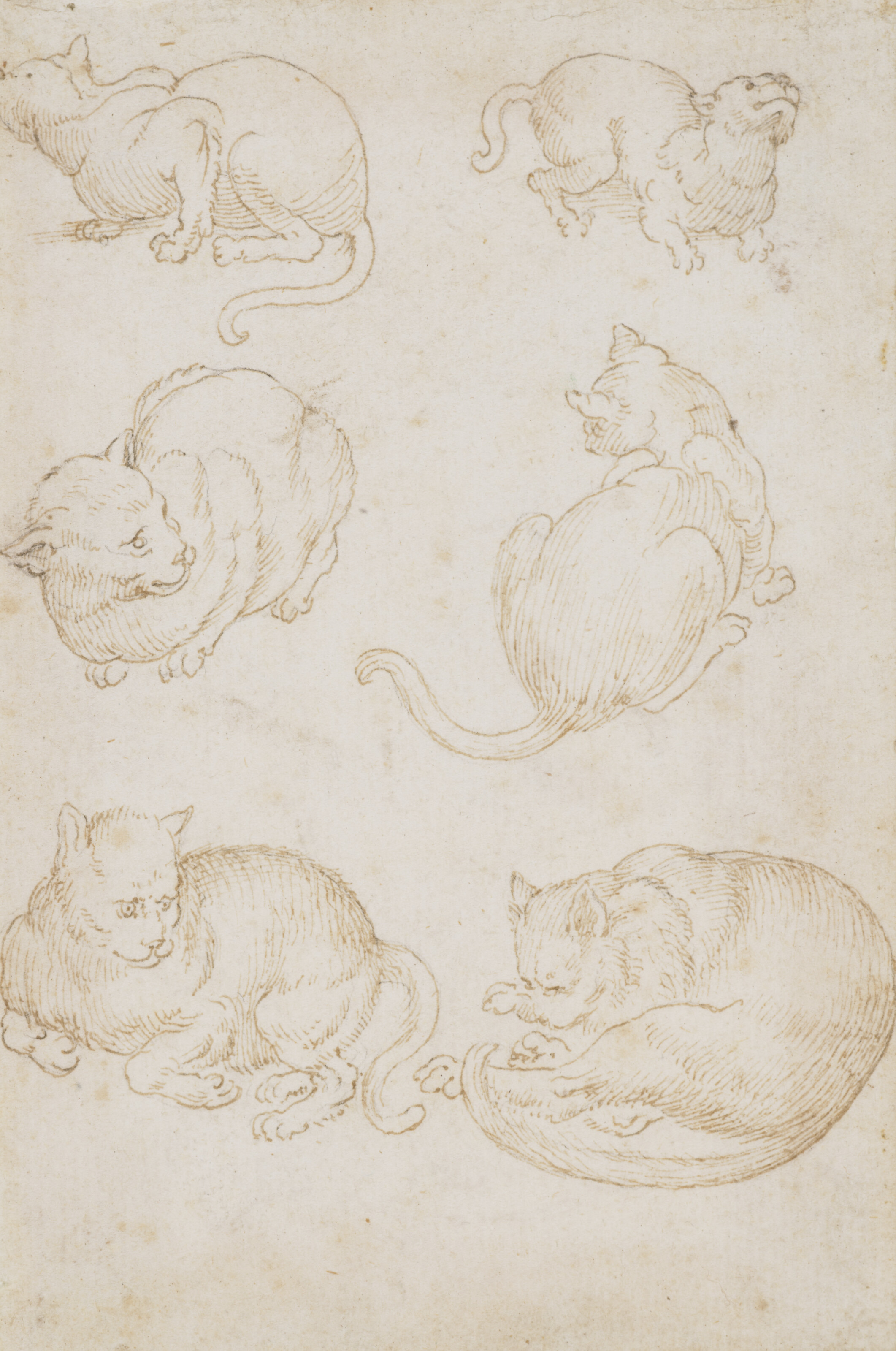 Dessins Anciens et du XIXe siècle incluant une sélection de terres cuites