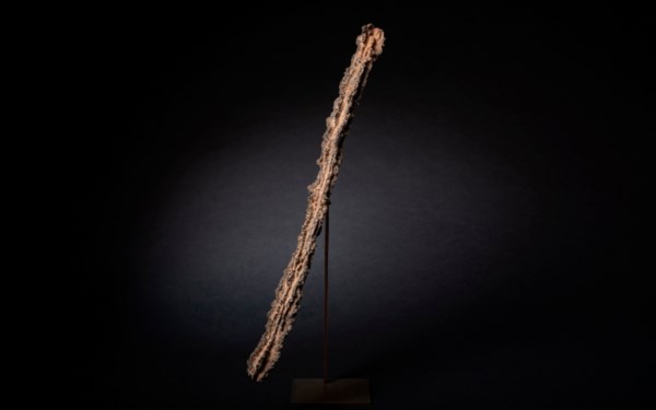Sculpted