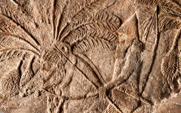 Antiquities