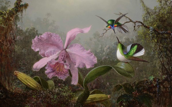 19th Century American & Wester auction at Christies