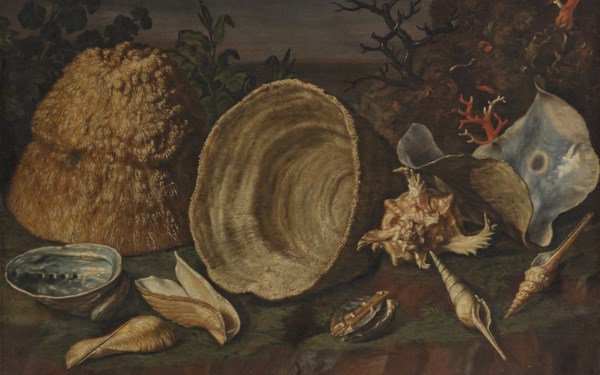 Maîtres