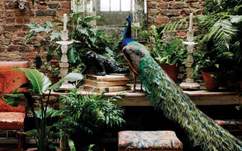 Interiors Including Posters