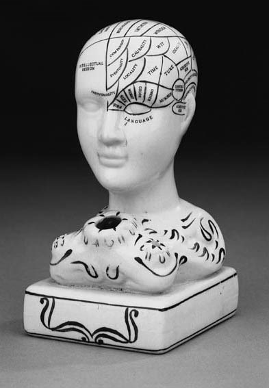 A porcelain phrenology head