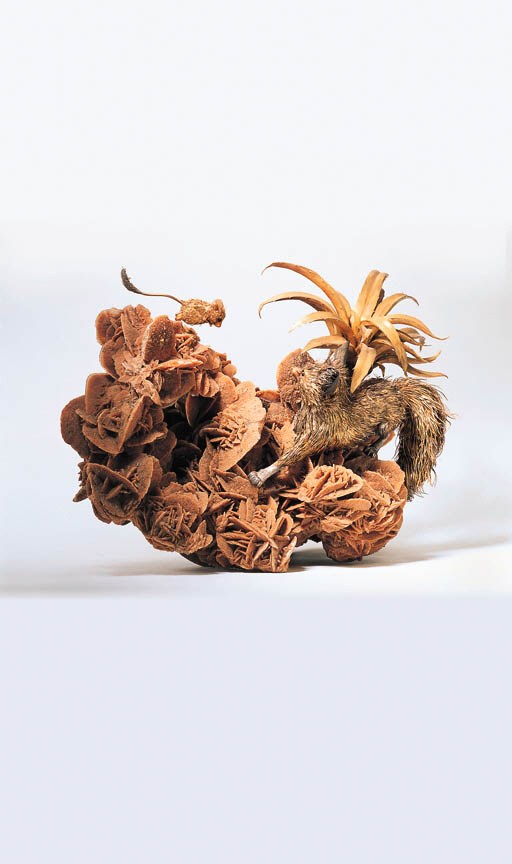 A Desert Study Table Decoration