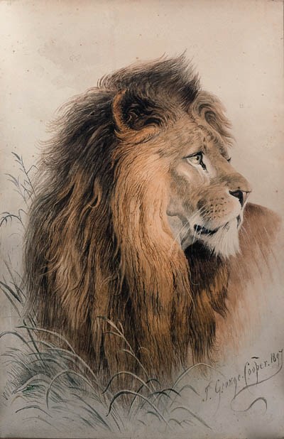 THOMAS GEORGE COOPER (1836-1901), British
