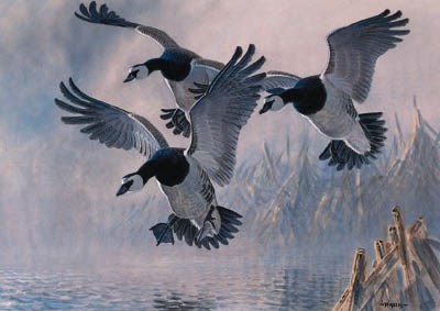 PETER ALLIS (B.1944), BRITISH
