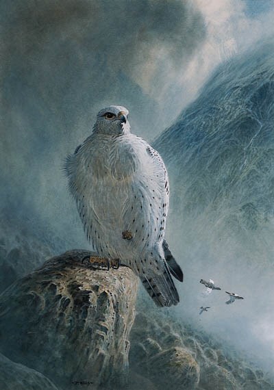 PETER ALLIS (B.1944), BRITISH