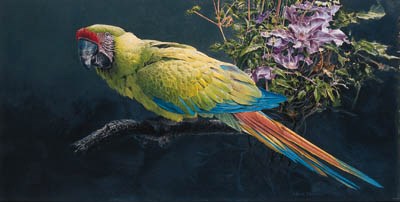 DAVID JOHNSTON (B.1946), BRITISH