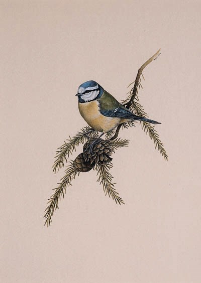 EDWIN T. CHICKEN (B.1940), BRITISH