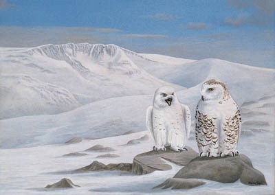DENNIS GREEN (B.1945), BRITISH