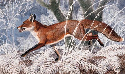 CHARLES FREDERICK TUNNICLIFFE, R.A. (1901-1979), BRITISH