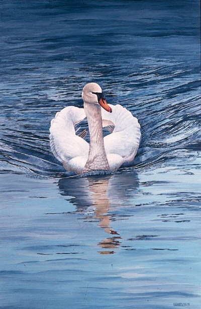 PETER BAINBRIDGE (B.    ), BRITISH