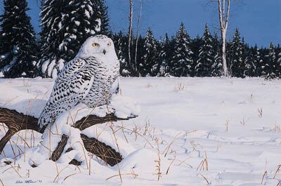 CHRISTOPHER STEPHENS (B.1974), BRITISH