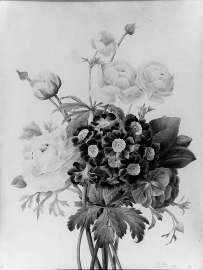 Attributed to Rosalie Renaudin (active 1819-1825)