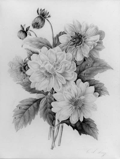 C.L. Leroy, early 19th Century