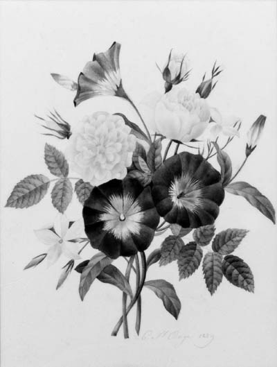 C. Saint-Ange (active 1829)