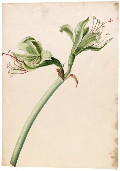 Dutch School, early-19th-Century