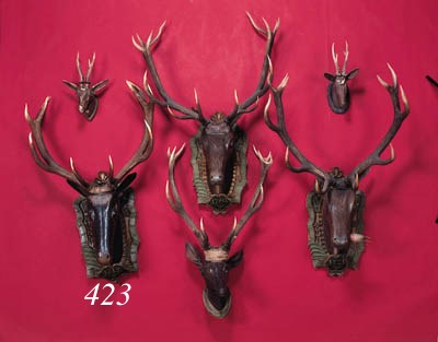 a carved wooden head of a deer