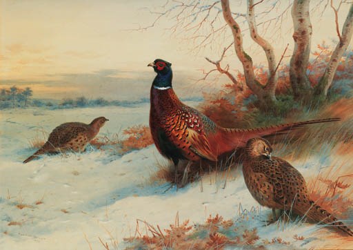 Archibald Thorburn (1860-1935)