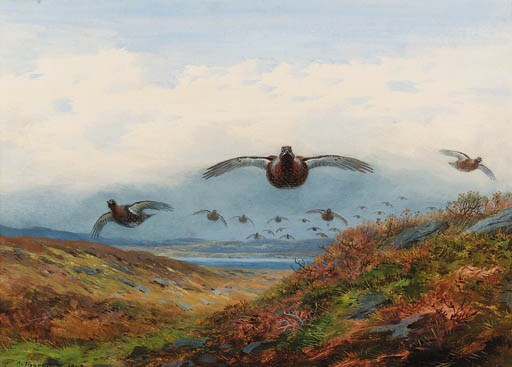 Archibald Thorburn (1860-1935)