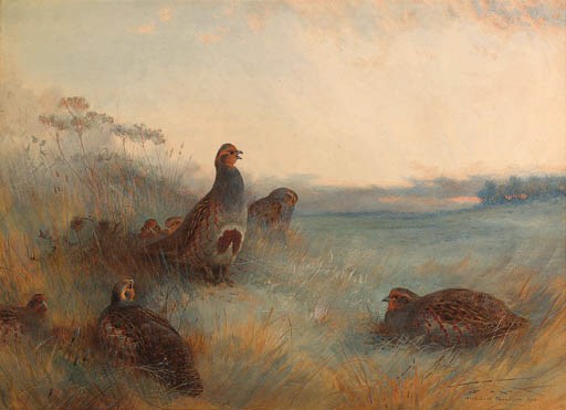 Archibald Thorburn (1860-1935)