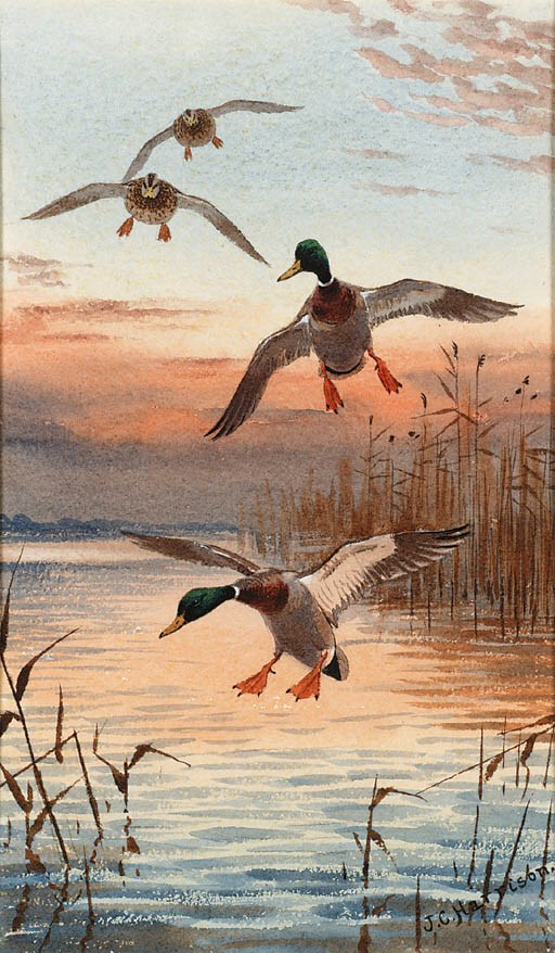 John Cyril Harrison (1898-1985)