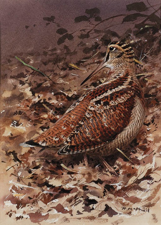 Rodger McPhail (b.1953)