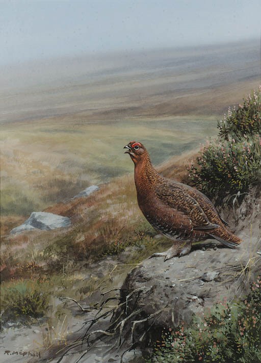Rodger McPhail (b.1953)