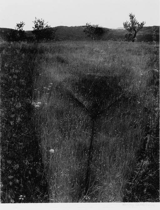 HARRY CALLAHAN