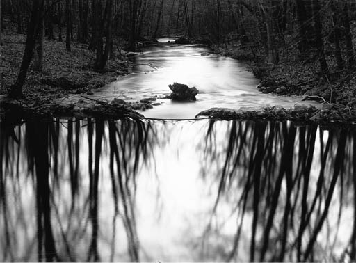 PAUL CAPONIGRO