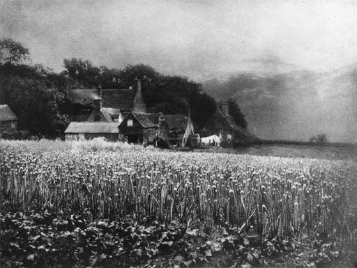 GEORGE DAVISON