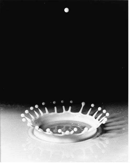 DR. HAROLD EDGERTON