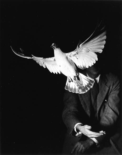 DR. HAROLD EDGERTON