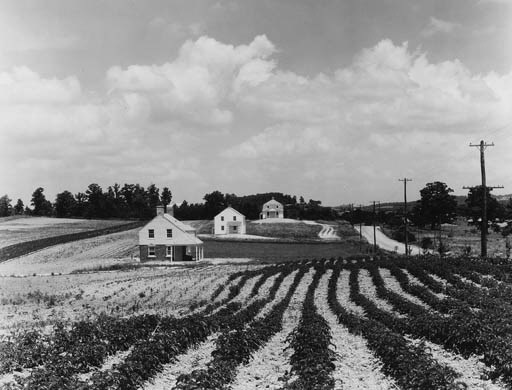 WALKER EVANS