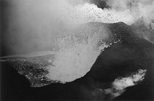 ERNST HAAS
