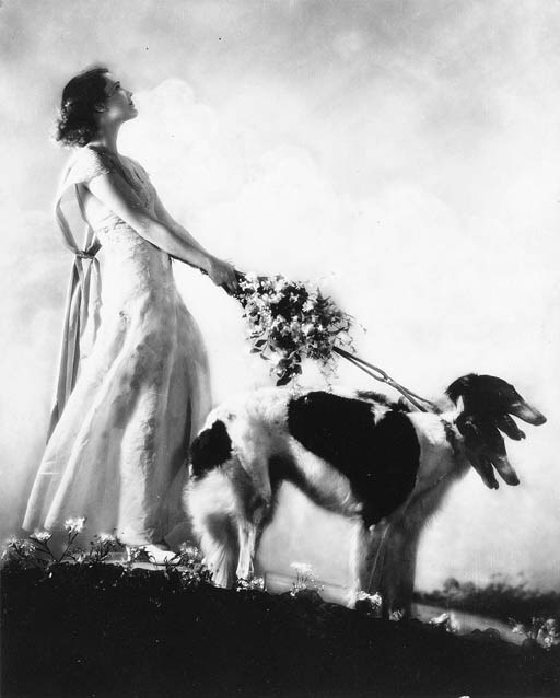 ALFRED CHENEY JOHNSTON